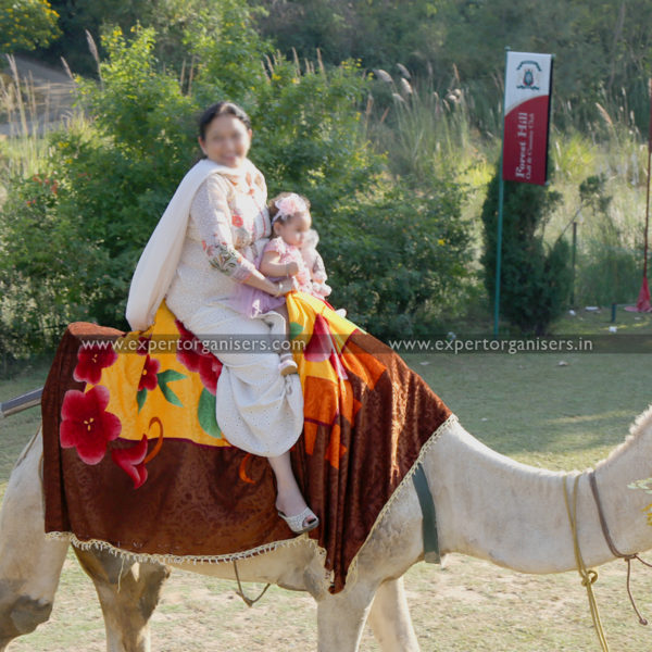 Camel Ride for Birthday and other Parties in Panchkula