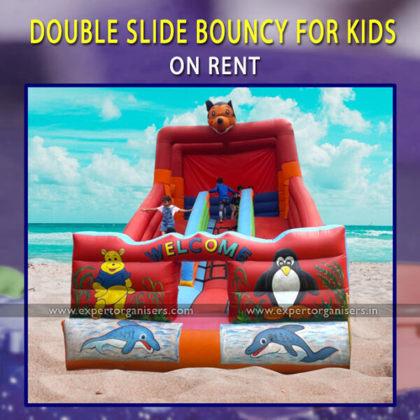 Double Slide Bouncy for Kids Birthday Party in Chandigarh, Mohali, Panchkula, Zirakpur