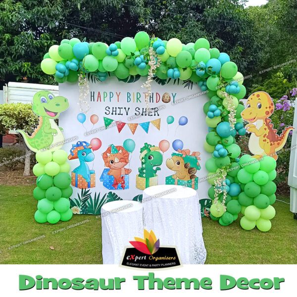 dinosaur theme decorations in chandigarh mohali panchkula zirakpur