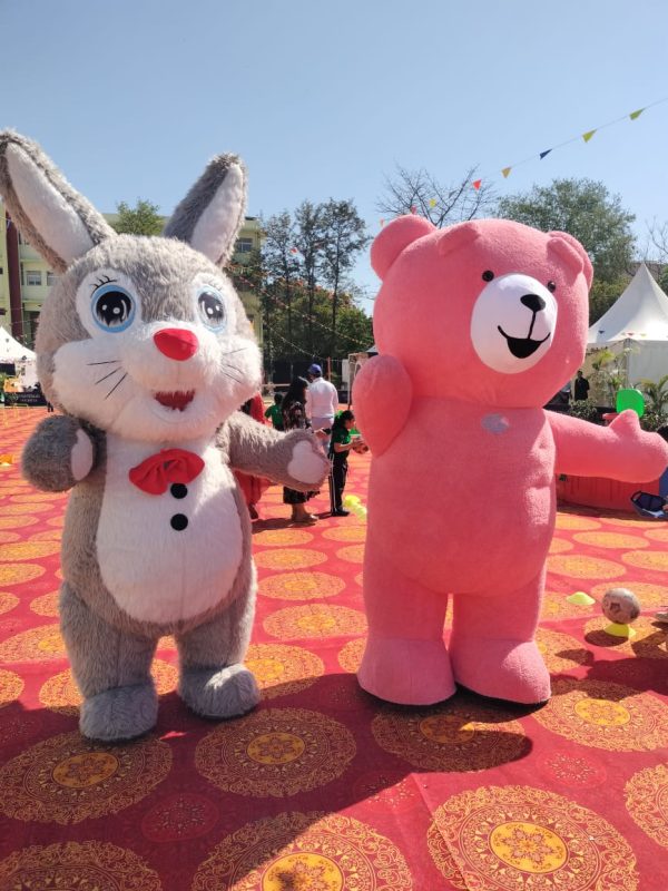 Teddy & Bunny Mascot on Rental for Kids Parties