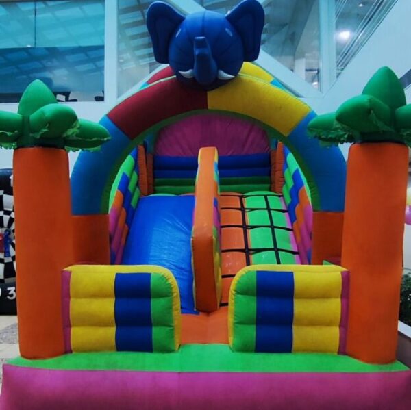 Kids Bouncy Castle (Single Slide)