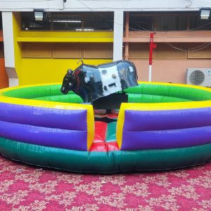 Bull Ride on Rental