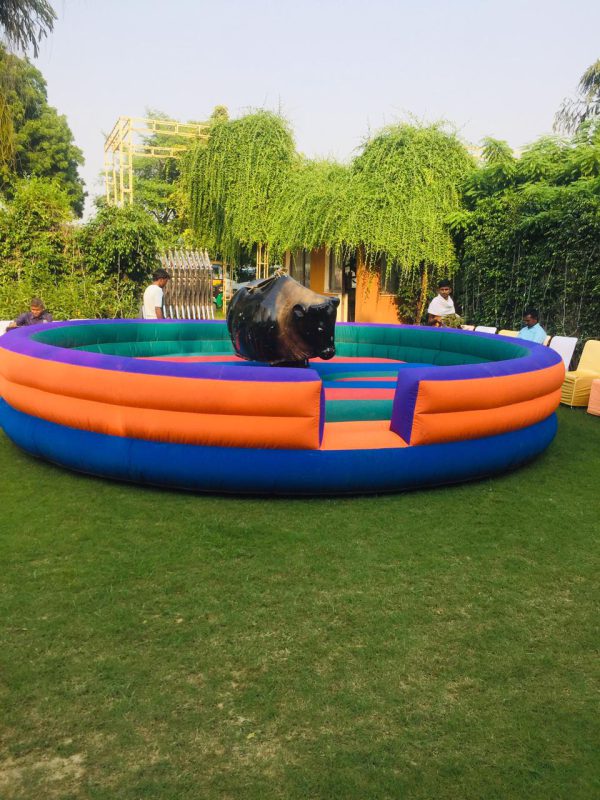 Bull Ride for Kids on Rent