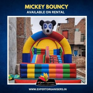 Mickey Bouncy