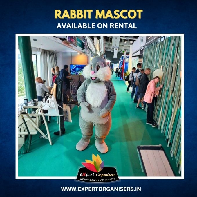 Rabbit Mascot on Rent for Birthday Parties or Corporate Events in Mumbai
